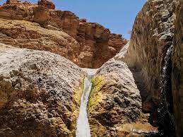 صورة 4